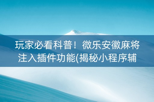 玩家必看科普！微乐安徽麻将注入插件功能(揭秘小程序辅牌器)