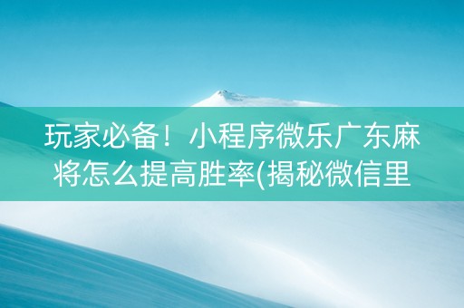 玩家必备！小程序微乐广东麻将怎么提高胜率(揭秘微信里必备神器)