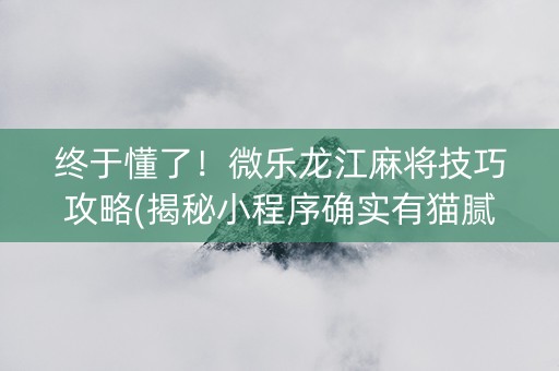 终于懂了！微乐龙江麻将技巧攻略(揭秘小程序确实有猫腻)