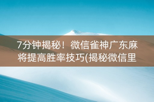 7分钟揭秘！微信雀神广东麻将提高胜率技巧(揭秘微信里自建房怎么赢)