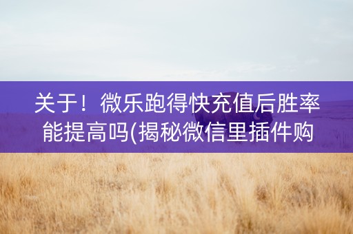 关于！微乐跑得快充值后胜率能提高吗(揭秘微信里插件购买)