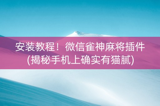 安装教程！微信雀神麻将插件(揭秘手机上确实有猫腻)