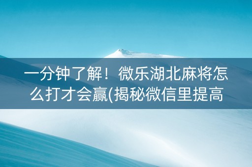 一分钟了解！微乐湖北麻将怎么打才会赢(揭秘微信里提高胜率)