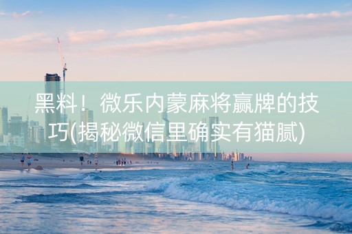 黑料！微乐内蒙麻将赢牌的技巧(揭秘微信里确实有猫腻)