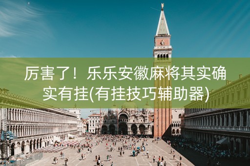 厉害了！乐乐安徽麻将其实确实有挂(有挂技巧辅助器)
