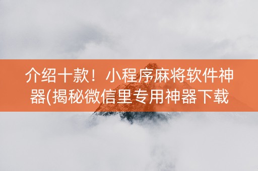 介绍十款！小程序麻将软件神器(揭秘微信里专用神器下载)