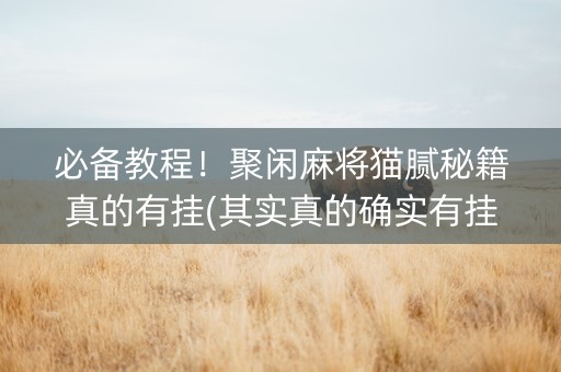 必备教程！聚闲麻将猫腻秘籍真的有挂(其实真的确实有挂)