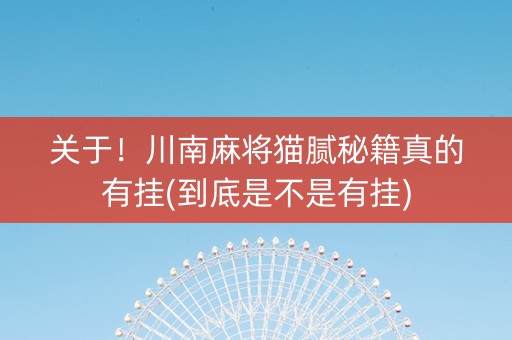 关于！川南麻将猫腻秘籍真的有挂(到底是不是有挂)