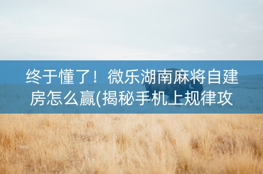 终于懂了！微乐湖南麻将自建房怎么赢(揭秘手机上规律攻略)