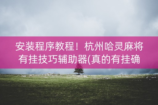 安装程序教程！杭州哈灵麻将有挂技巧辅助器(真的有挂确实有挂)