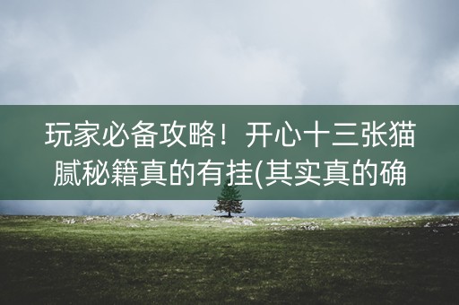 玩家必备攻略！开心十三张猫腻秘籍真的有挂(其实真的确实有挂)