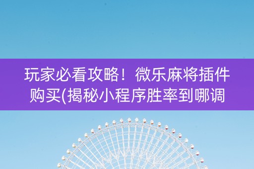 玩家必看攻略！微乐麻将插件购买(揭秘小程序胜率到哪调)