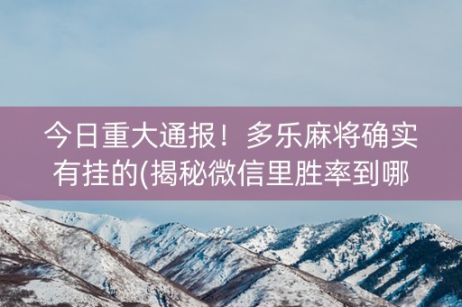 今日重大通报！多乐麻将确实有挂的(揭秘微信里胜率到哪调)
