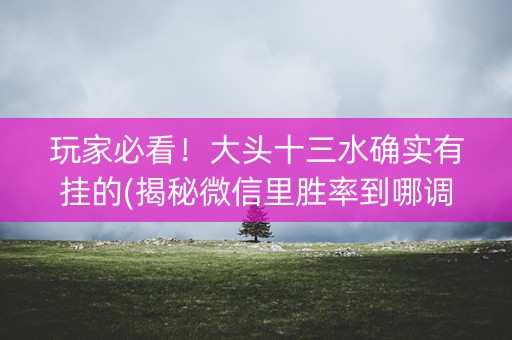 玩家必看！大头十三水确实有挂的(揭秘微信里胜率到哪调)