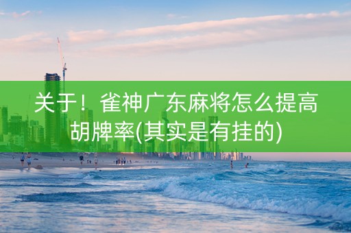 关于！雀神广东麻将怎么提高胡牌率(其实是有挂的)
