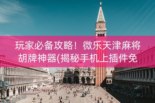 玩家必备攻略！微乐天津麻将胡牌神器(揭秘手机上插件免费)