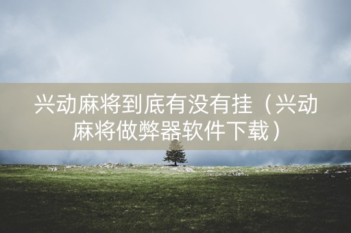 兴动麻将到底有没有挂（兴动麻将做弊器软件下载）