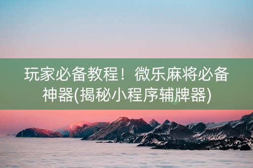 玩家必备教程！微乐麻将必备神器(揭秘小程序辅牌器)