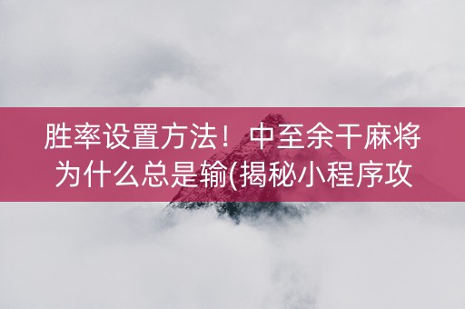 胜率设置方法！中至余干麻将为什么总是输(揭秘小程序攻略插件)