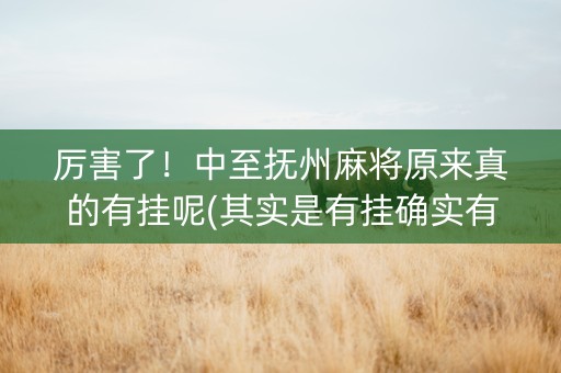 厉害了！中至抚州麻将原来真的有挂呢(其实是有挂确实有挂)
