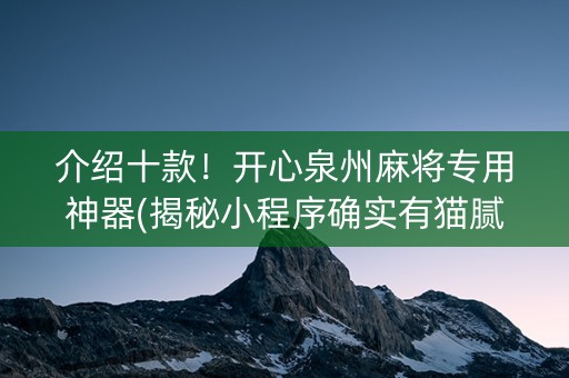 介绍十款！开心泉州麻将专用神器(揭秘小程序确实有猫腻)