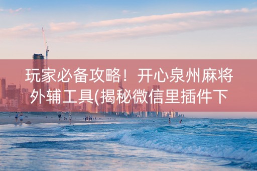 玩家必备攻略！开心泉州麻将外辅工具(揭秘微信里插件下载)