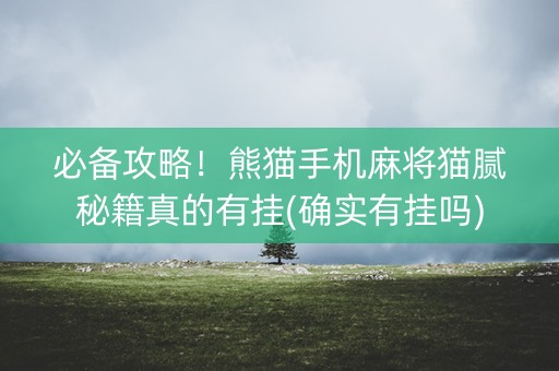 必备攻略！熊猫手机麻将猫腻秘籍真的有挂(确实有挂吗)