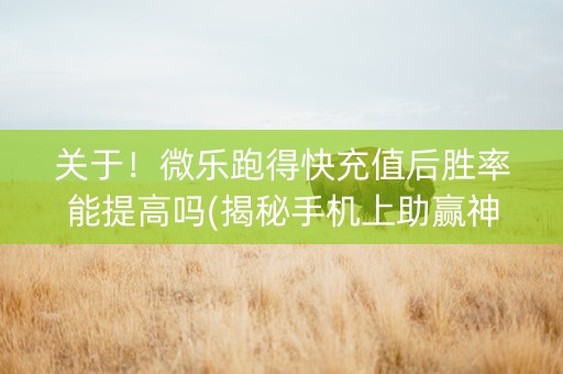 关于！微乐跑得快充值后胜率能提高吗(揭秘手机上助赢神器购买)