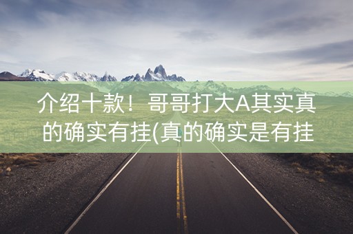 介绍十款！哥哥打大A其实真的确实有挂(真的确实是有挂)