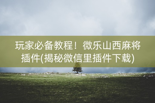 玩家必备教程！微乐山西麻将插件(揭秘微信里插件下载)
