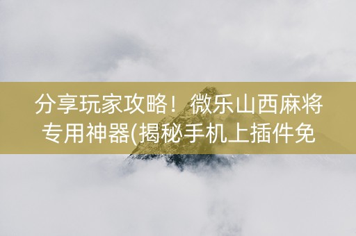 分享玩家攻略！微乐山西麻将专用神器(揭秘手机上插件免费)