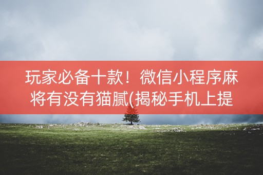 玩家必备十款！微信小程序麻将有没有猫腻(揭秘手机上提高胜率)