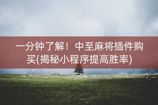 一分钟了解！中至麻将插件购买(揭秘小程序提高胜率)