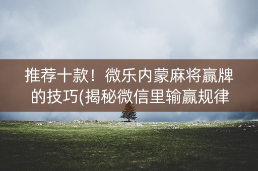 推荐十款！微乐内蒙麻将赢牌的技巧(揭秘微信里输赢规律)