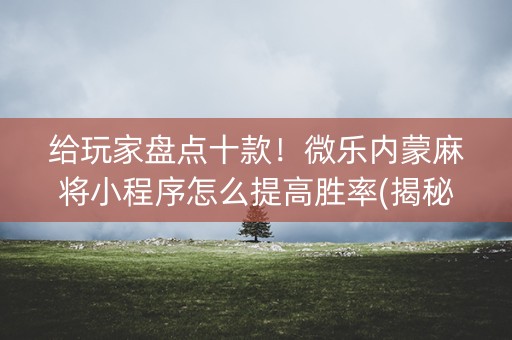 给玩家盘点十款！微乐内蒙麻将小程序怎么提高胜率(揭秘小程序最新神器下载)