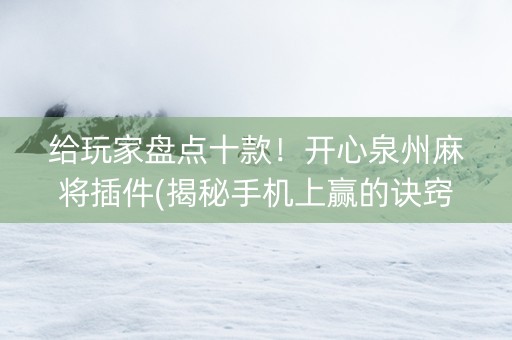 给玩家盘点十款！开心泉州麻将插件(揭秘手机上赢的诀窍)