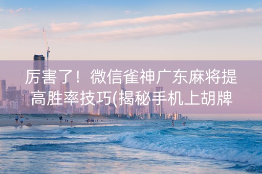 厉害了！微信雀神广东麻将提高胜率技巧(揭秘手机上胡牌神器)