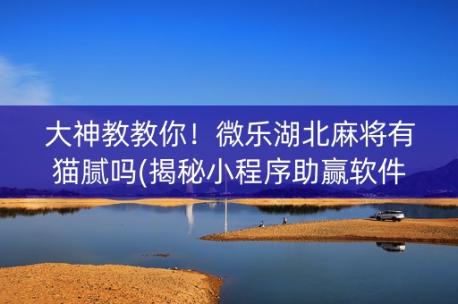 大神教教你！微乐湖北麻将有猫腻吗(揭秘小程序助赢软件)