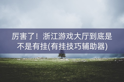 厉害了！浙江游戏大厅到底是不是有挂(有挂技巧辅助器)