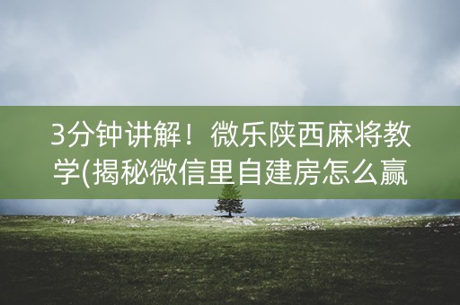 3分钟讲解！微乐陕西麻将教学(揭秘微信里自建房怎么赢)