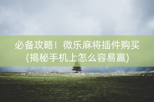 必备攻略！微乐麻将插件购买(揭秘手机上怎么容易赢)