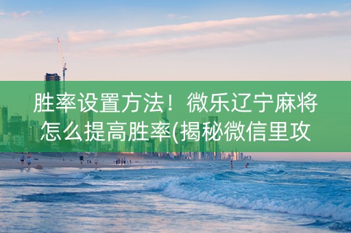 胜率设置方法！微乐辽宁麻将怎么提高胜率(揭秘微信里攻略插件)