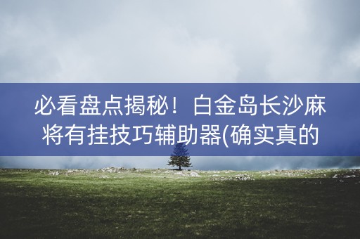 必看盘点揭秘！白金岛长沙麻将有挂技巧辅助器(确实真的有挂)