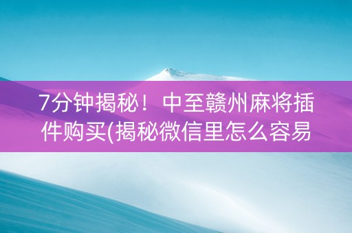 7分钟揭秘！中至赣州麻将插件购买(揭秘微信里怎么容易赢)