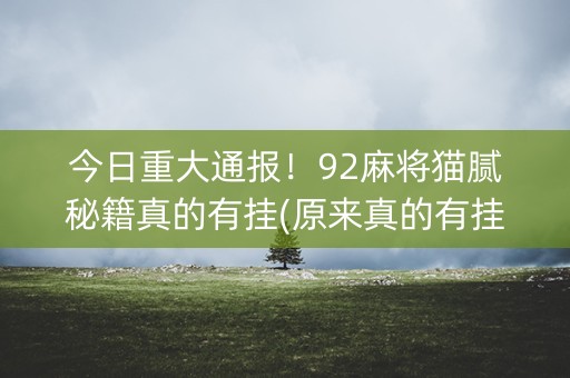 今日重大通报！92麻将猫腻秘籍真的有挂(原来真的有挂)