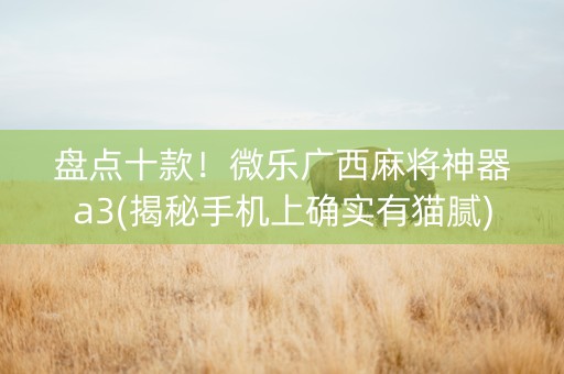盘点十款！微乐广西麻将神器a3(揭秘手机上确实有猫腻)