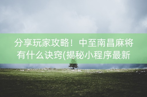 分享玩家攻略！中至南昌麻将有什么诀窍(揭秘小程序最新神器下载)