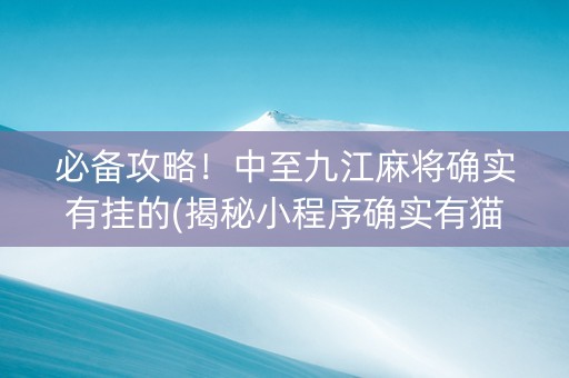 必备攻略！中至九江麻将确实有挂的(揭秘小程序确实有猫腻)