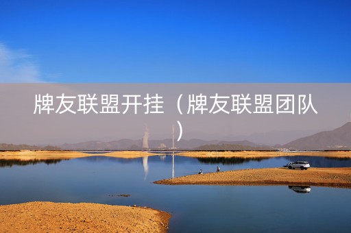 牌友联盟开挂（牌友联盟团队）