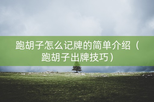 跑胡子怎么记牌的简单介绍（跑胡子出牌技巧）